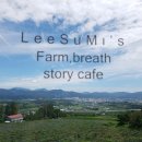 거창읍-10 이미지