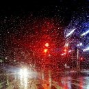 승규농장 이미지