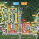 숲속의아침2 이미지