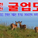 5/23(화)~24(수) 가보고 싶은섬 굴업도 1박2일 이미지