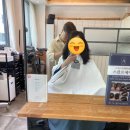 박철헤어살롱 펌 후기