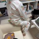 스토리한 | 유아 소파 추천 내돈내산 루나스토리 브레드소파 ! 한 달 사용 후기