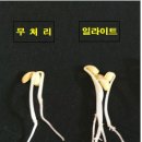 영동사료 이미지