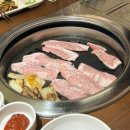 고기운 이미지