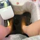 의왕프라자 | 내손동테라피 다낭 갈산동힐링카페 족욕 원적외선 힐링한 의왕시힐링카페 후기