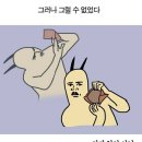 진 애드