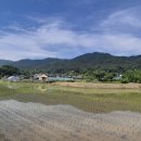 논실 경로당 네이버블로그