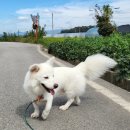 온 동물병원 이미지