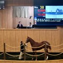 두화목장 이미지