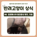 달봉이네 대연점 이미지