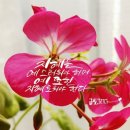 글빛그리다