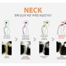 메디라운드 이미지