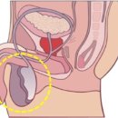 정한수비뇨기과의원 이미지
