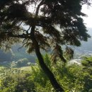 용소골농장 이미지