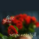 RE:AI안경에 대하여/이요조글 이미지