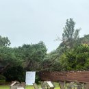 라온몽드하우스웨딩 | W02_우리들의 낭만 베뉴 하우스웨딩 수원 라온몽드 계약 후기(당일계약O)