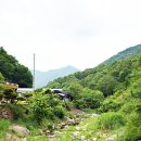 무릉도원 네이버블로그