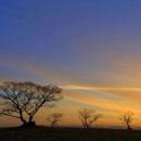 선양 목장 이미지