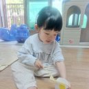 알파벳 C, 음식: egg 이미지