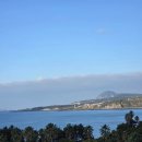 현청로 | 11월 제주여행 4일차 : 부영리조트 산책로 , 서귀포칠십리시공원 징검다리, 정이가네 국밥 , 집으로 🏠