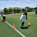 안의초등학교 이미지