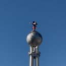 토이스타(TOY STAR) | 아이와 함께하는 올랜도 디즈니월드 할리우드 스튜디오