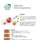 EM환경시스템