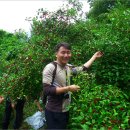 형대카센터 이미지