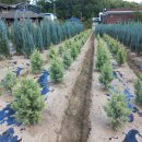 초입농장 이미지