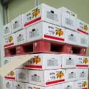 꿈꾸는 농장 이미지