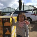 범일농장 이미지