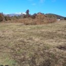 산록남로 이미지