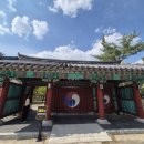 2025.05.07실시간] 5월의 경주 오릉에서 만난 하얀 눈처럼 핀 이팝나무의 봄