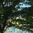전주대학교 | 2025년 전주 가맥축제 다녀온 후기 (전주대학교)