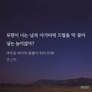 2024년 1월 3주차 일기