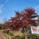 복하천수변공원 배드민턴장