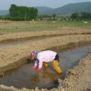 초정농장 이미지