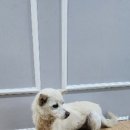 최종주동물병원 이미지