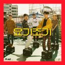 요기요기 이미지