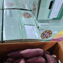 마감)쎄일)호박고구마 호풍미 판매합니다. 이미지