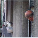 시골할매 이미지