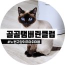 골골탬버린클럽 이미지