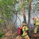 대구소방본부, 함지산 산불 진화 총력 대응 이미지