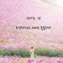 연신유도체육관 이미지