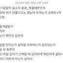 힐링동물병원 &  건강검진센터 이미지