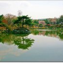 연못이 있는 풍경 이미지