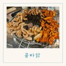 대구 신월성 맛집 꼬소한 꼼장어와 불맛 가득 닭발이 맛있는 곰아닭 후기