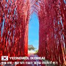 영월통로 | 영월 여행 - 붉은빛 미술관 '젊은달 와이파크' 후기 (최옥영 작가, 주차장 정보, 붉은 대나무)