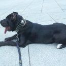 오도2리 이미지