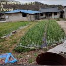 합천군삼가면동리보건진료소 | (경남 합천군토지(대지)경매) 합천군 삼가면 동리 686 ○ 2018타경10393 예상낙찰가